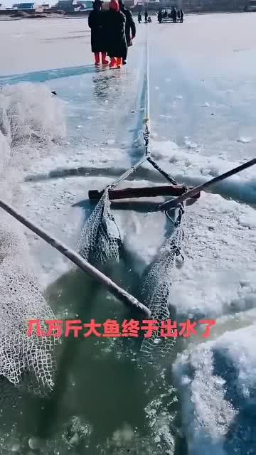 水库大鱼爆料视频播放,视频播放引发热议！